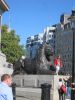 PICTURES/London - Trafalgar Square/t_Lion1.JPG